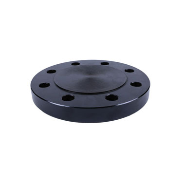 MS Blind Flange Class 300 - Carbon Steel Fittings