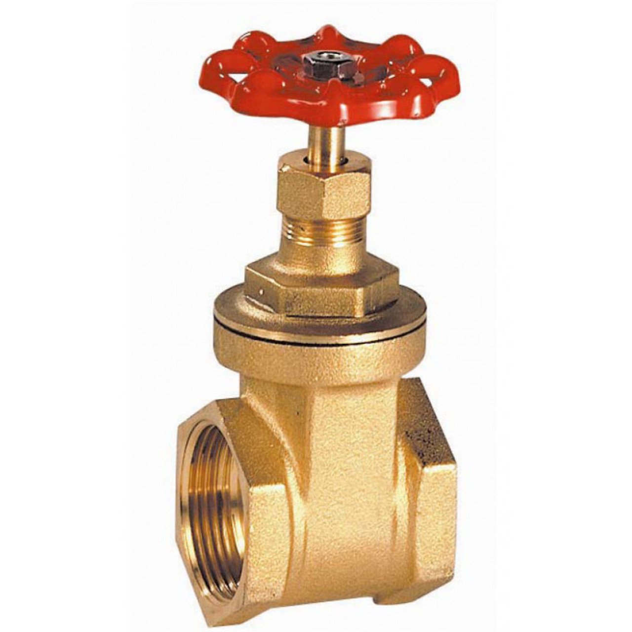 DOUBLE-LIN GATE VALVE