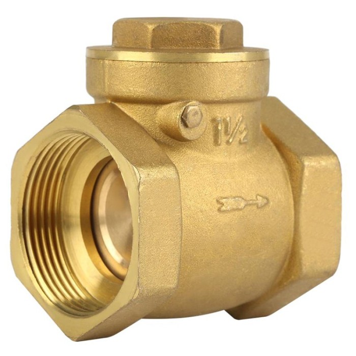 DOUBLE-LIN CHECK VALVE