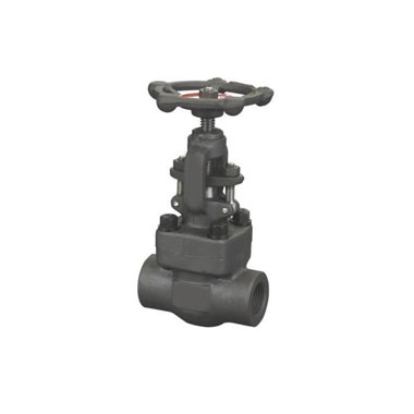 Globe Valve Thread Type - Forged Steel Valve