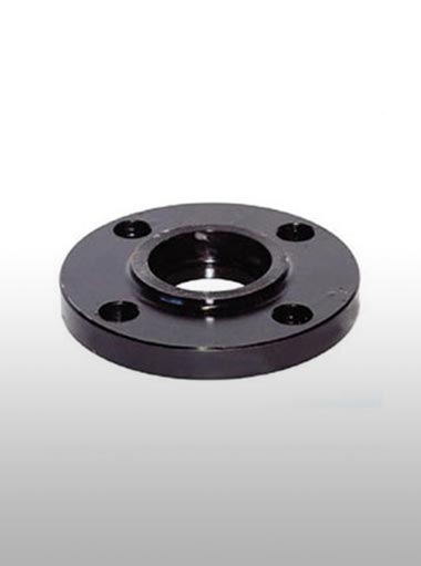 MS Flange C150 - Carbon Steel Fittingsx