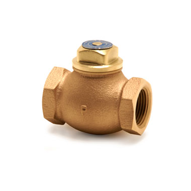 Check Valve PN-32 - Pegler Valves