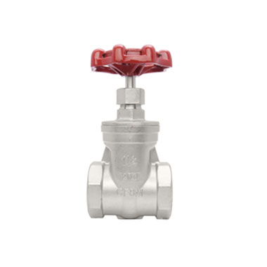 Gate Valve - Stainless Steel